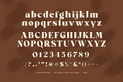 Mikey Elegant Serif Font, a Serif Font by Elegant Font (Thumbnail 7 of 7)