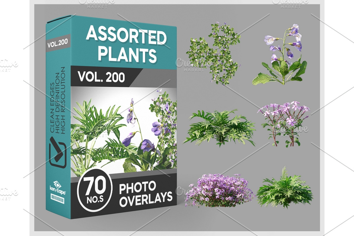 70 Assorted Plants Photo Overlays, a Nature Photo by KenScape (Photo 1 of 4)
