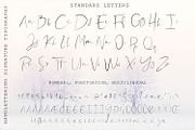 Shallou Signature Script Typeface, a Script Font by Drifter Studio (Thumbnail 4 of 9)