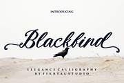 Blackbird - Elegance Calligraphy, a Script Font by Fikryal Studio (Thumbnail 1 of 11)