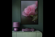 Emotional Pink Rose digital art, a Nature Photo by Mineden Digital Prints (Thumbnail 1 of 5)
