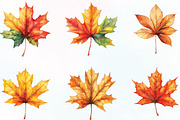 Watercolor Autumn Leaf Clipart, an Illustration by CraftArtStudio (Thumbnail 2 of 6)