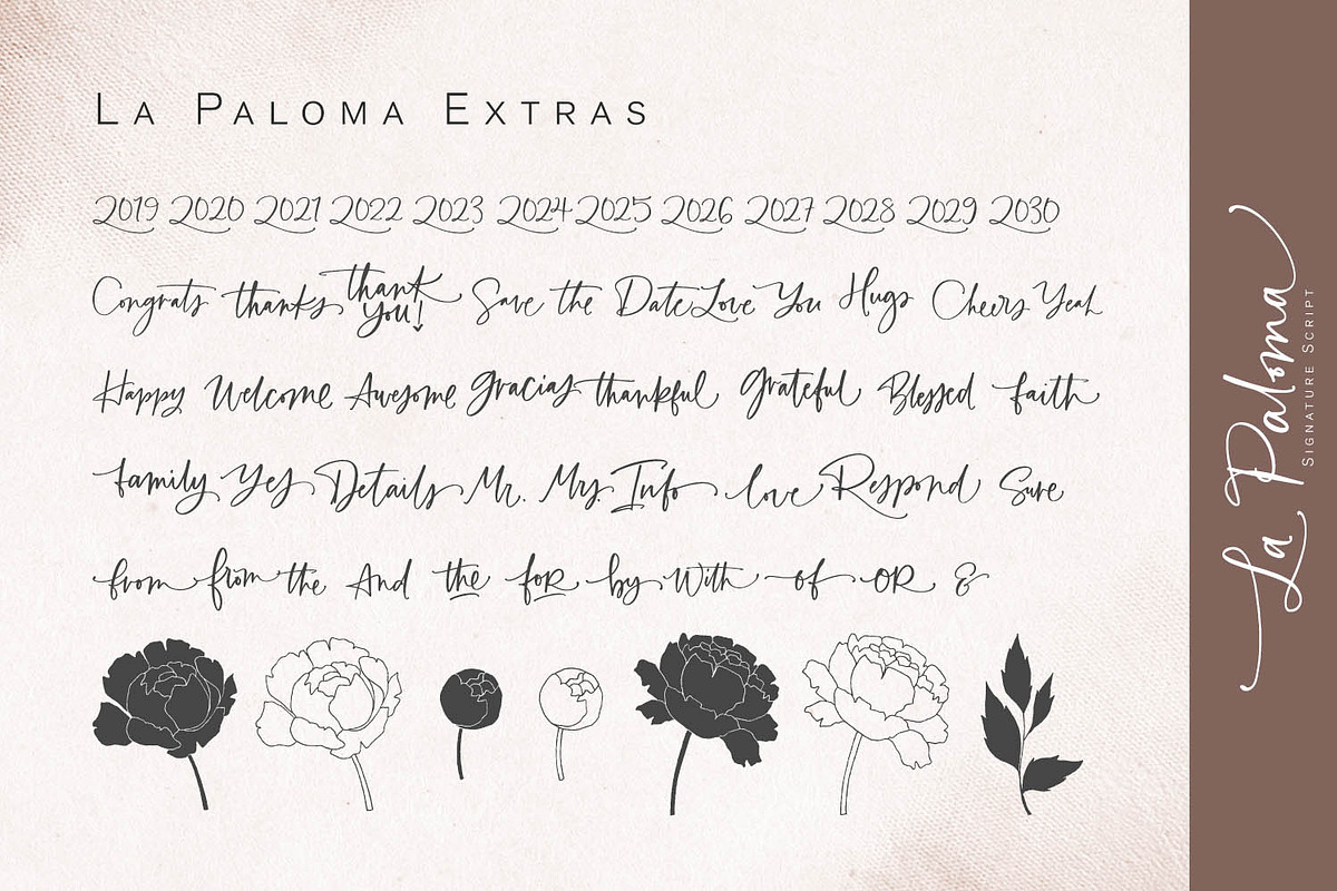 La Paloma Script + Catchwords, a Script Font by Callie Rian & Co. (Photo 19 of 21)