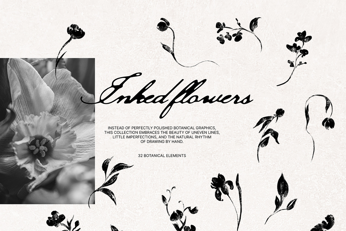 Inked Flowers: elements & art prints, a Decorative Illustration by Yuliia Lashevska (Photo 4 of 9)