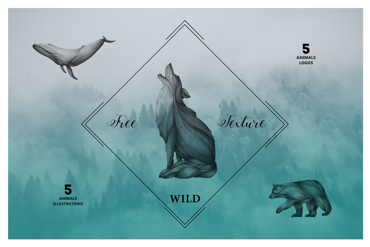 Animals Illustrations, an Animal Illustration by Isbela  (Photo 1 of 5)