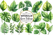 Green Summer Foliage Clipart, an Illustration by OK Design (Thumbnail 1 of 5)