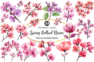 Spring Redbud Flower Clipart, an Illustration by SinaCreation