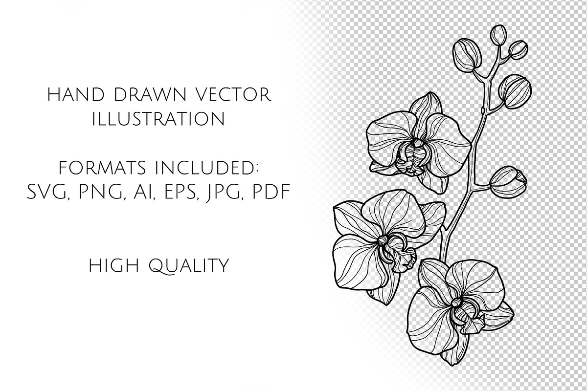 Ochid flowers Line art svg, an Object Graphic by Dervik Art Store (Photo 9 of 9)