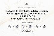 Smart Split - Bold Serif Smallcaps, a Serif Font by Attractype (Thumbnail 7 of 7)
