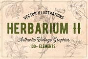 100 Vintage Leaves & Branches 2, an Illustration by Brigantine Designs (Thumbnail 1 of 8)