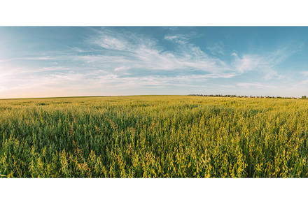 Countryside Rural Field Landscape, a Nature Photo by Our Amazing World
