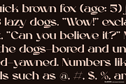 Glakion | Modern Display Serif, a Serif Font by gracetype_studio (Thumbnail 8 of 14)