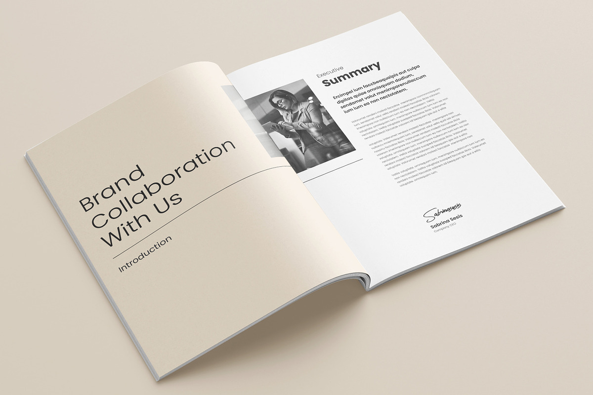 Business Proposal Template, Canva, a Brochure Template by DesVert (Photo 2 of 10)