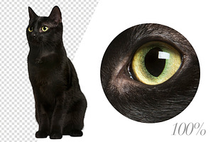 20 Black Cats - Cut-out Pictures