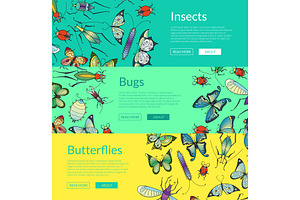 Vector Hand Drawn Insects Of Set