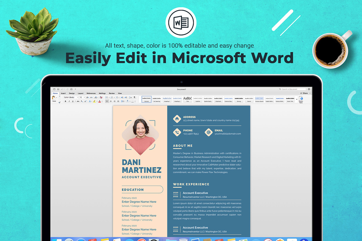Accountant Executive Resume Template, a Resume Template by ResumeInventor (Photo 5 of 8)