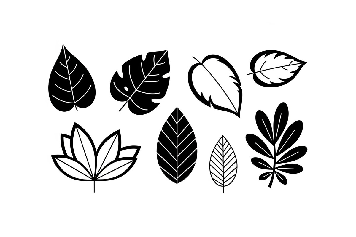 Minimal Botanical Leaf Silhouette Bu, an Illustration by Creativeshirt (Photo 27 of 51)