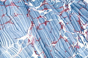 2 Hand Marbled Papers Waves, a Texture Graphic by Marblingdom (Thumbnail 3 of 3)