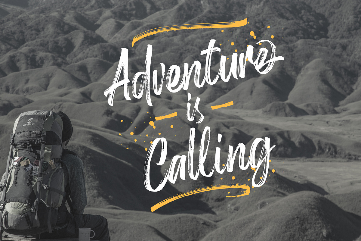 Birdrockers || Realistic Brush Font preview 4