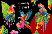 Colorful Tropical Parrots Clipart, an Object Graphic by GraphicRedStudio (Thumbnail 4 of 9)