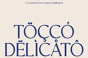 CS Granvile Drawn, a Serif Font by Craft Supply Co. (Thumbnail 5 of 8)