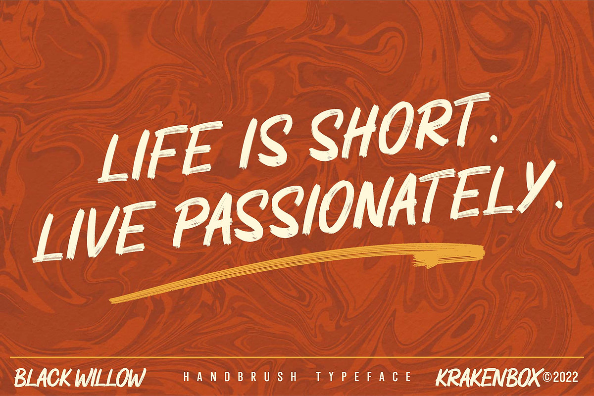 Black Willow - Handbrush, a Font by Krakenbox Studio (Photo 9 of 12)