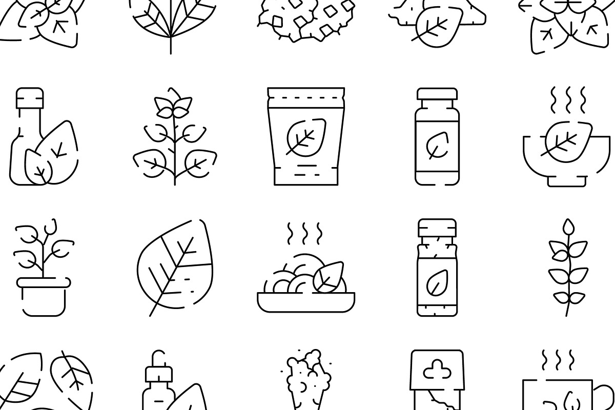 Stevia natural sweetener plant, an Object Graphic by pikepicture (Photo 3 of 3)