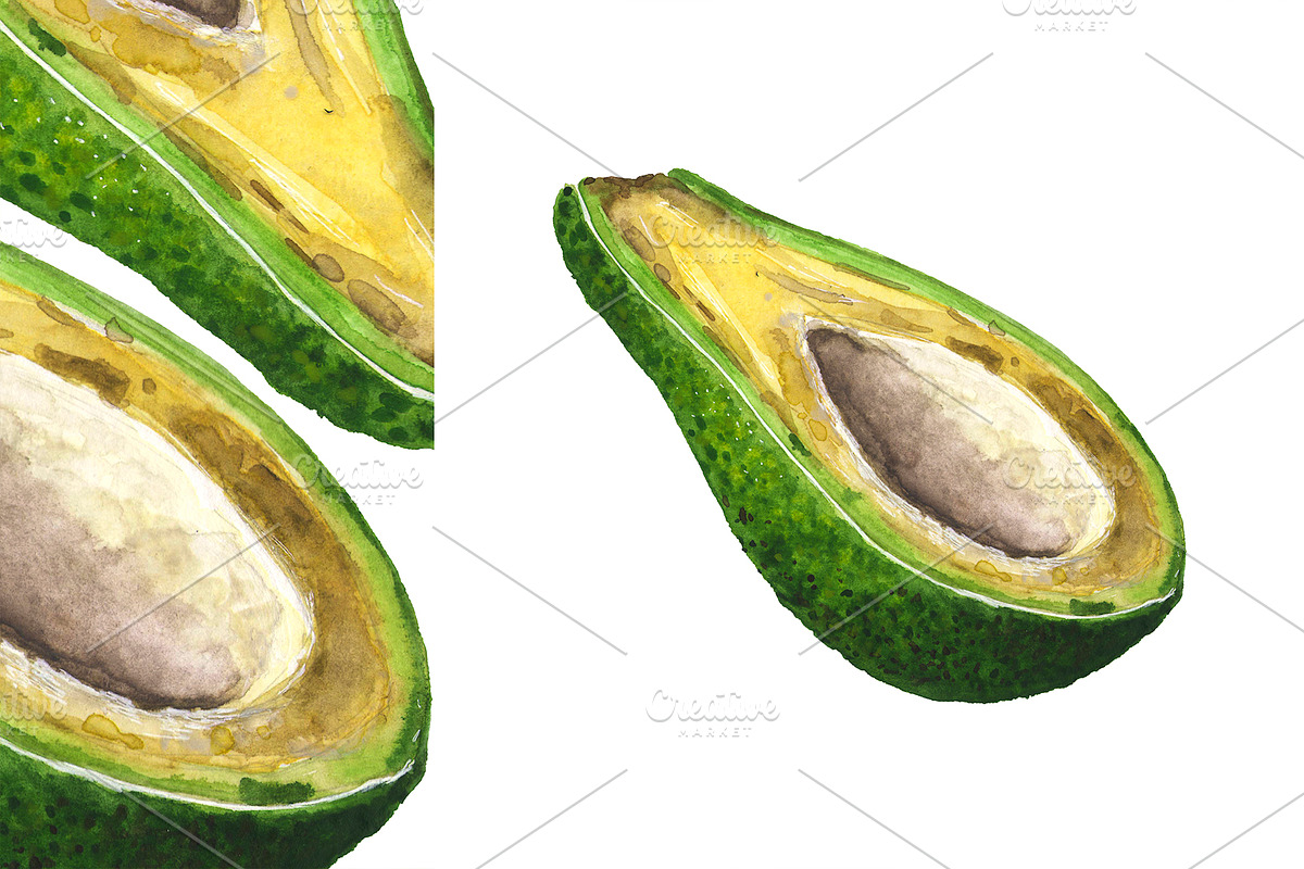 Hand-drawn watercolor Avocado, a Food Illustration by Margo Miller (Photo 6 of 12)