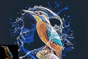 Water Splash Effect Photoshop Action, an Action Add-On by Studio Retouch (Thumbnail 4 of 11)