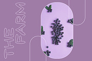 GRAPE CANDY – Sans Serif font, a Sans Serif Font by Hybridbee Design (Thumbnail 8 of 10)
