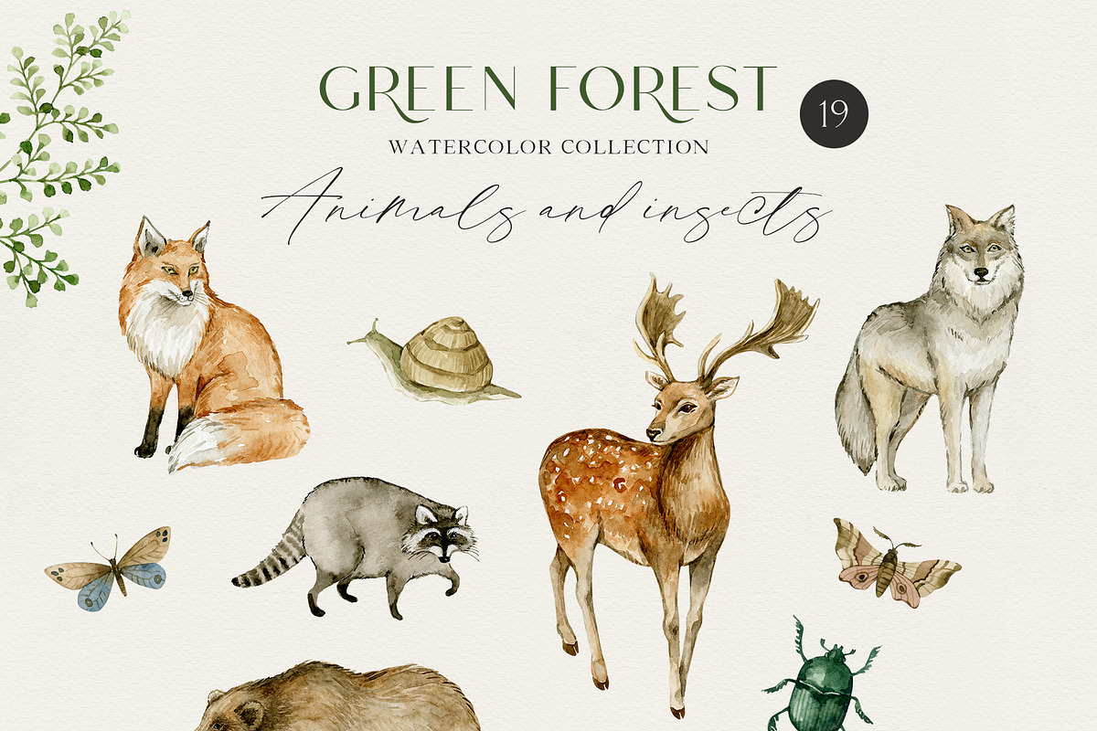 GREEN FOREST watercolor collection, an Object Illustration by long summer (Photo 7 of 17)