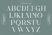 GLAMOUR BRAINS - By Haksen, a Serif Font by Haksen (Thumbnail 7 of 17)