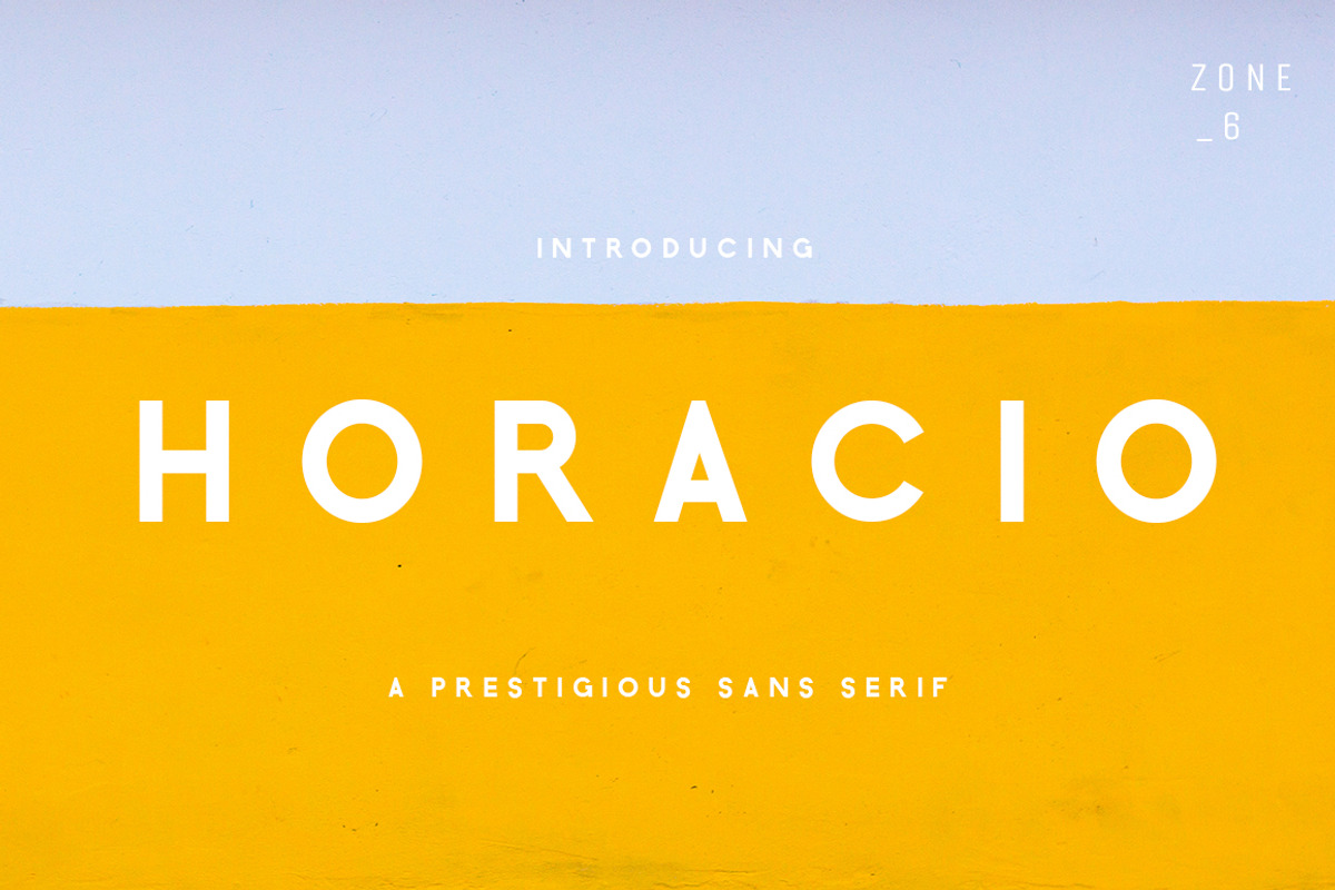 The Elegant Sans Serif Font Bundle preview 2