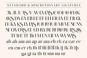 Yacht - Modern Ligature Font, a Serif Font by Genilson Santos (Thumbnail 19 of 19)