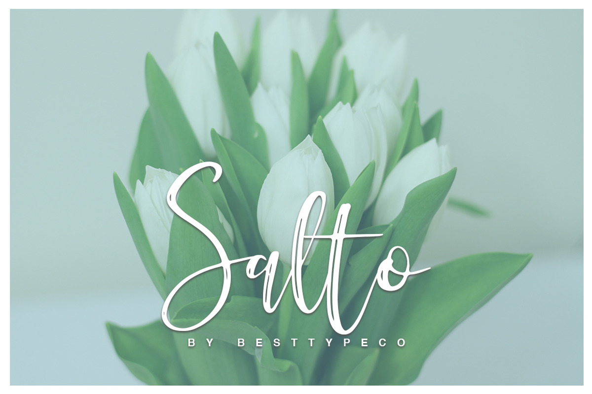 Salto, a Handwritten Font by Besttypeco (Photo 1 of 5)
