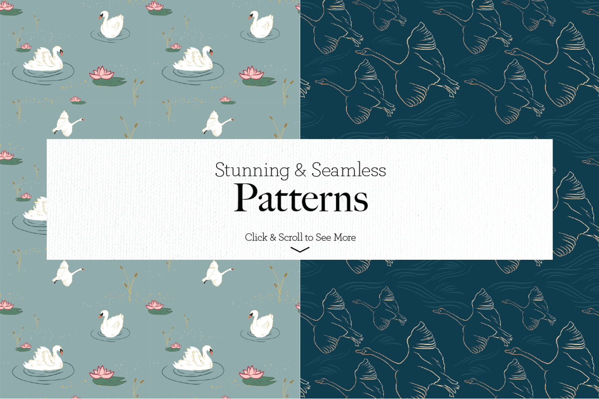 Fancy Swan Collection, a Texture Illustration by DesignsByMissM (Photo 3 of 4)