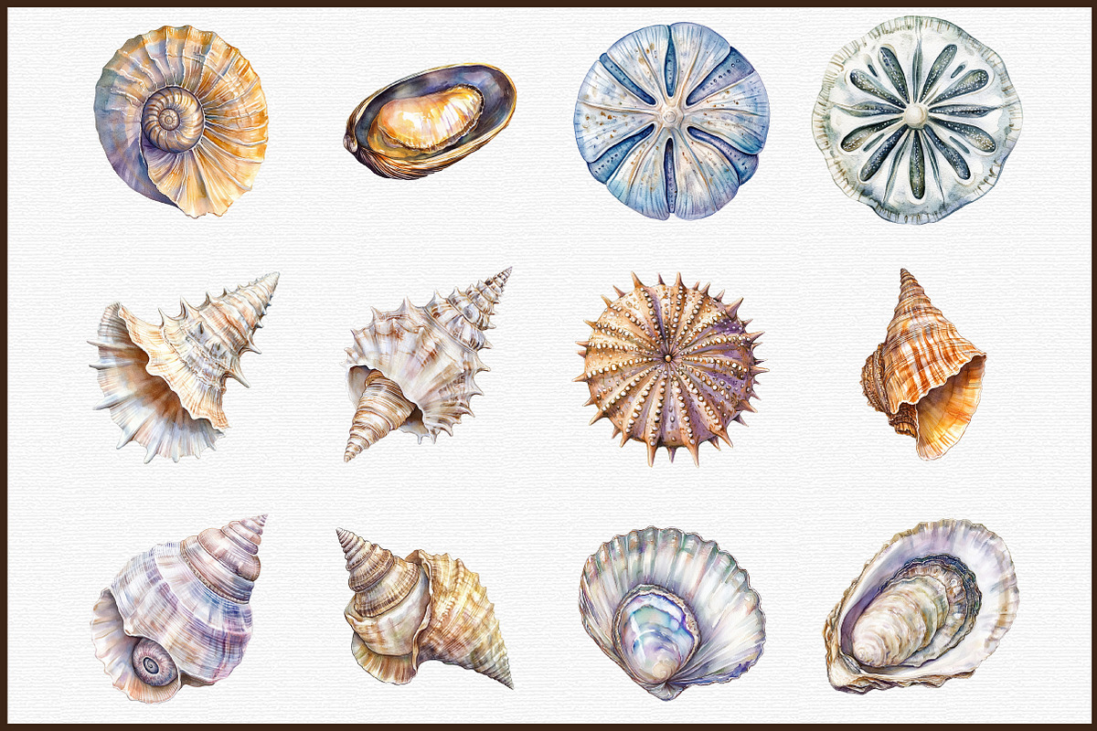 Seashell Clipart Ocean Sketch Set, an Illustration by Sublimation Artist (Photo 3 of 6)