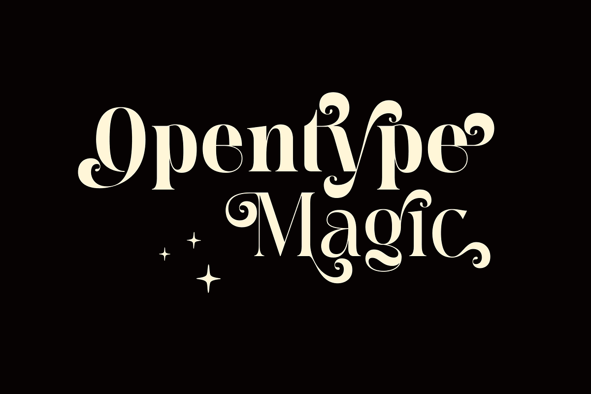 Meagre Display - 90s  Serif Family, a Serif Font by Holyline Design (Photo 5 of 15)