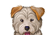 Poodle Cross Breeds 27 Dogs/Puppies, an Animal Illustration by Dneprstock (Thumbnail 24 of 27)
