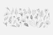 Tropical collection, a Decorative Illustration by Merfin (Thumbnail 4 of 10)