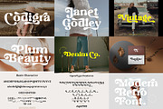 The Modern & Unique Font Bundle #02, a Serif Font by Prioritype Co (Thumbnail 12 of 17)