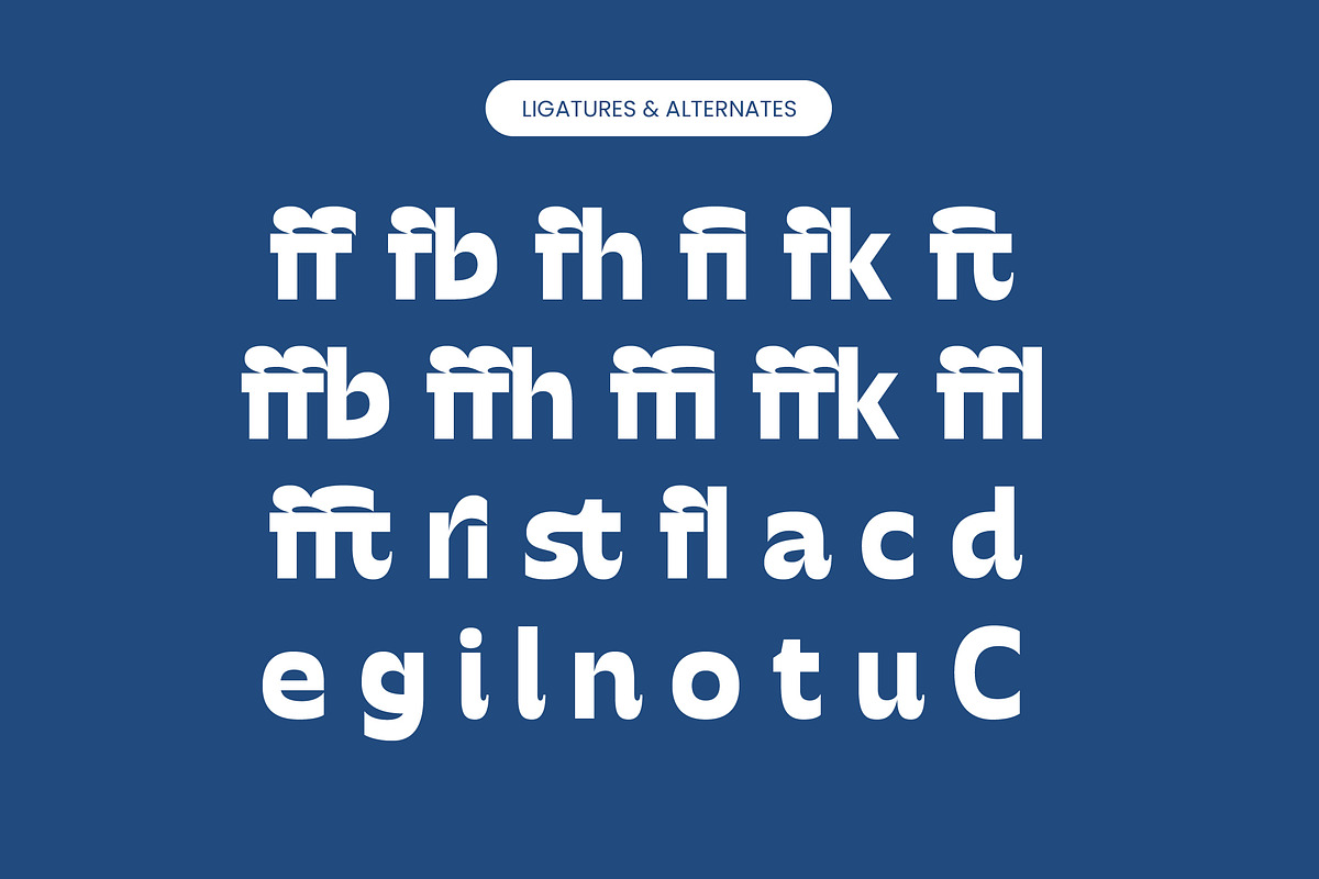 Mighty Swifta Display Serif Font, a Sans Serif Font by timelesstype.co (Photo 13 of 15)