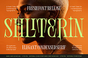 Shliterin Elegant Condensed Serif, a Serif Font by timelesstype.co (Thumbnail 1 of 15)