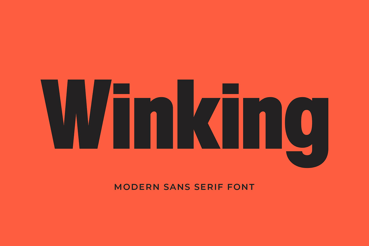 Winking - Modern Sans Serif, a Sans Serif Font by TypeLogue (Photo 1 of 5)