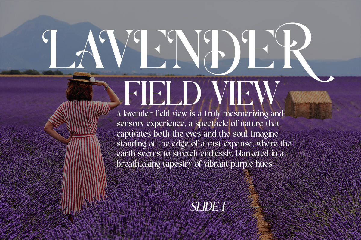 Saffela - Modern Elegant Luxury, a Serif Font by Shakira Studio (Photo 4 of 10)