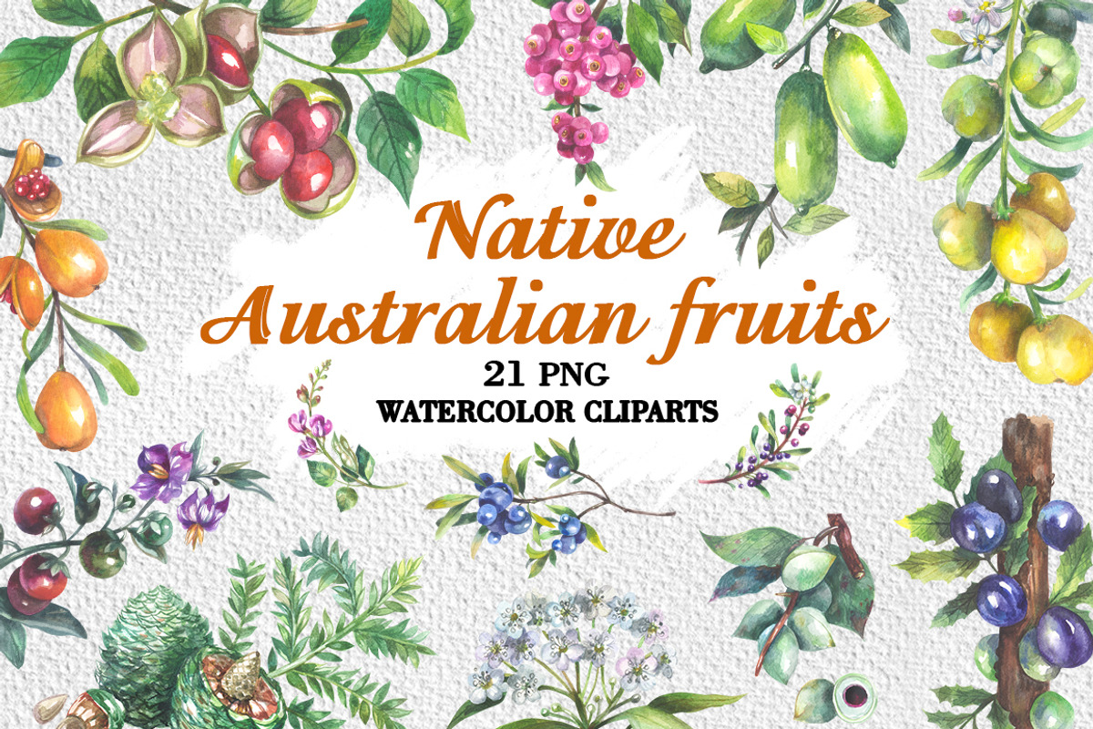 Australian Native fruits cliparts, an Illustration by FITALARTSNEDIGI (Photo 1 of 7)