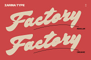 Bright Supply - Bold Script Font, a Script Font by Zarma Type (Thumbnail 10 of 12)