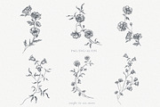 Line Art Flowers vector collection, a Decorative Illustration by Sensual Art (Thumbnail 3 of 10)