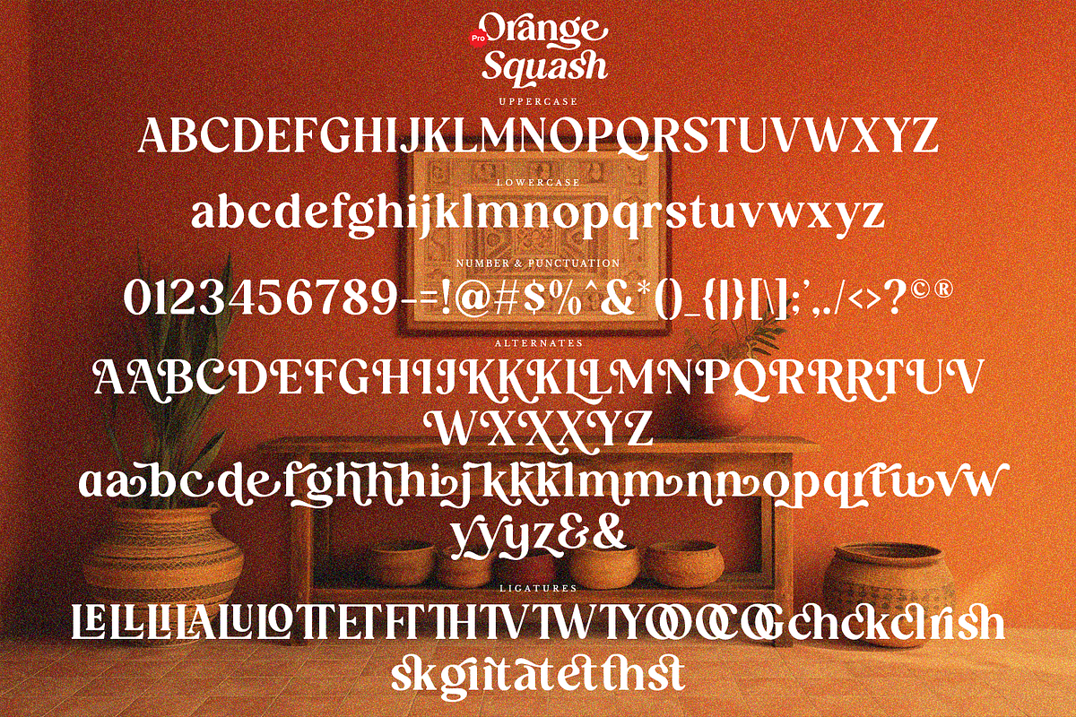Orange Squash Pro - Vintage Serif, a Serif Font by Pixesia Studio (Photo 10 of 10)