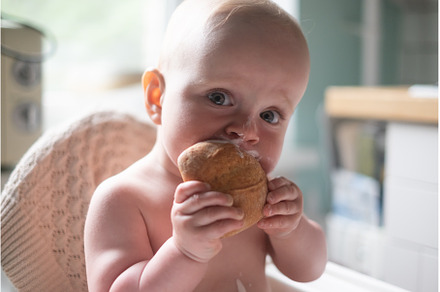 caucasian happy baby boy eating, a Person Photo by Koldunova